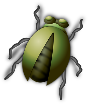 Stylized Green Beetle Illustration PNG