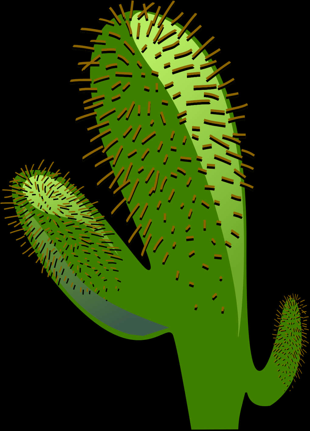 Stylized Green Cactus Illustration PNG