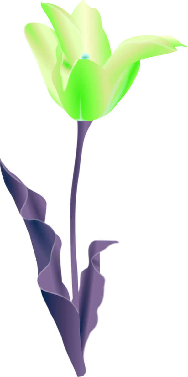 Stylized Green Flower Illustration PNG