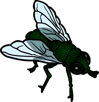 Stylized Green Fly Illustration PNG