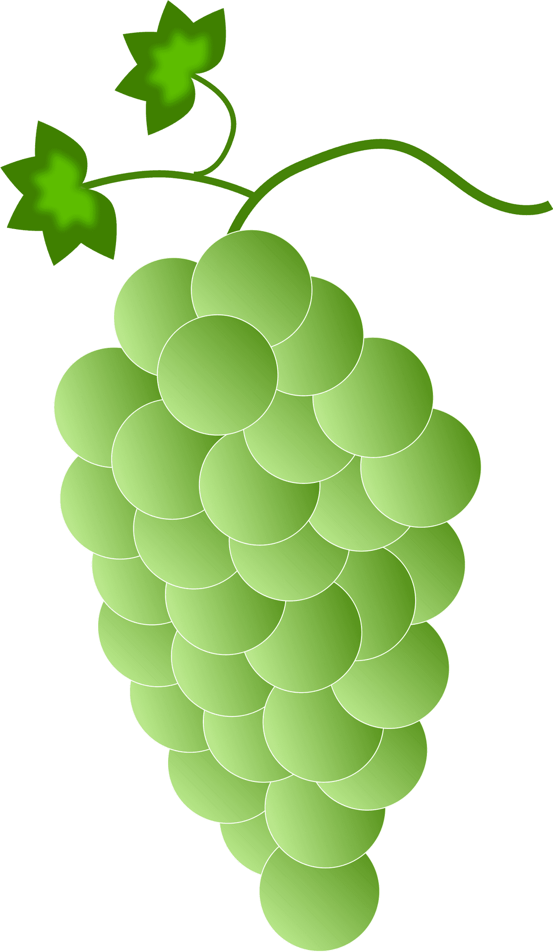 Stylized Green Grape Cluster Vector PNG