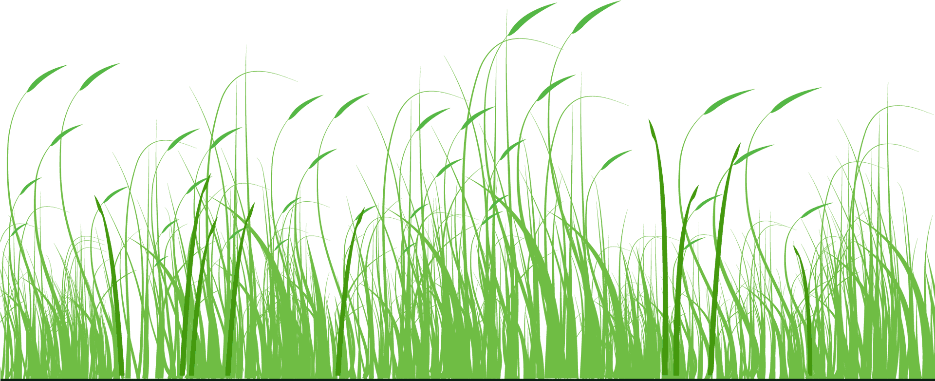 Stylized Green Meadow Vector PNG