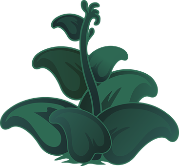 Stylized Green Plant Illustration PNG