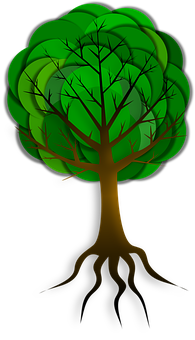 Stylized Green Tree Graphic PNG