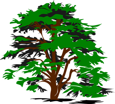 Stylized Green Tree Graphic PNG