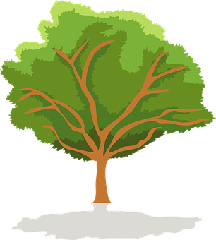 Stylized Green Tree Vector PNG