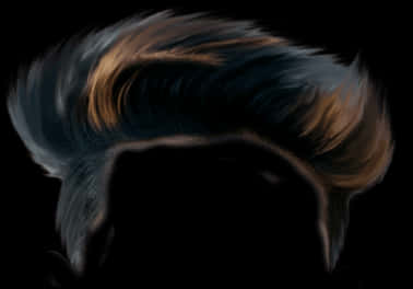 Stylized Hair Silhouette PNG