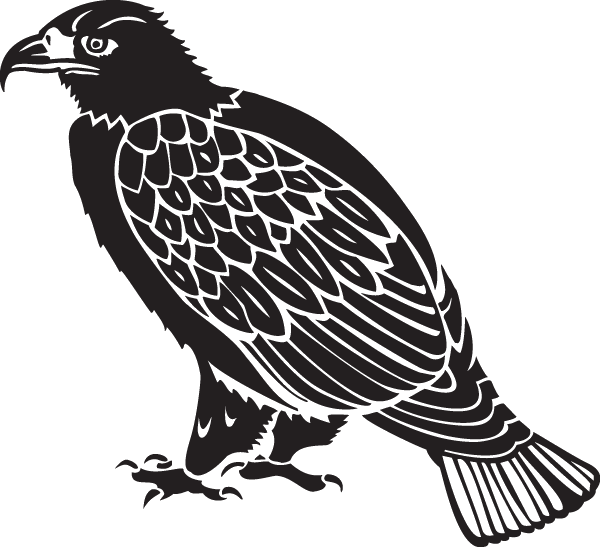 Stylized Hawk Illustration PNG