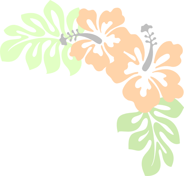 Stylized Hibiscus Floral Design PNG