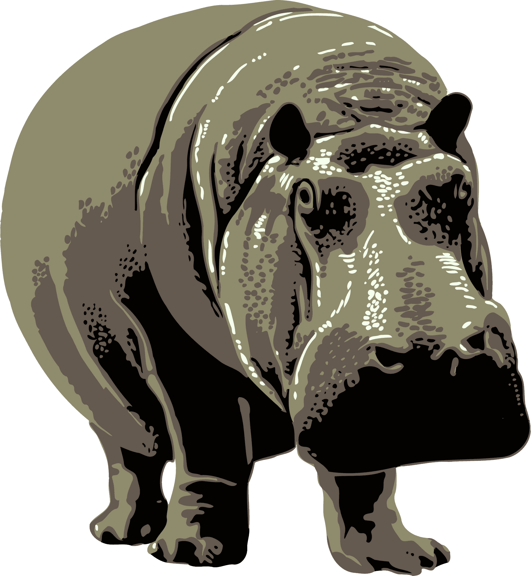 Stylized Hippo Illustration PNG