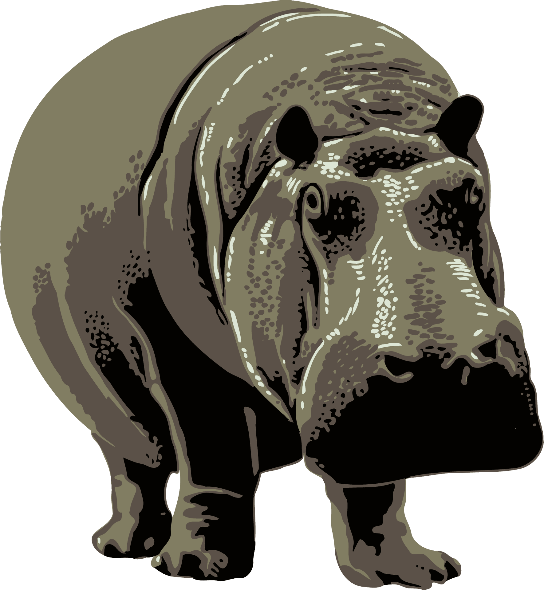 Stylized Hippopotamus Illustration PNG