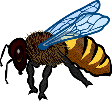 Stylized Honeybee Illustration PNG