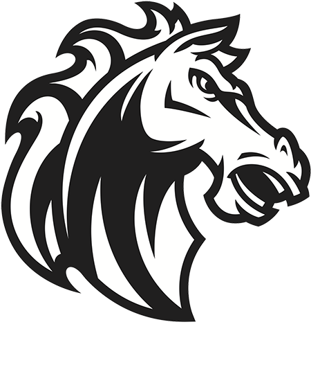 Stylized Horse Head Graphic PNG