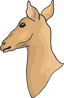 Stylized Horse Head Illustration PNG