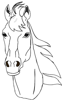 Stylized Horse Head Vector PNG