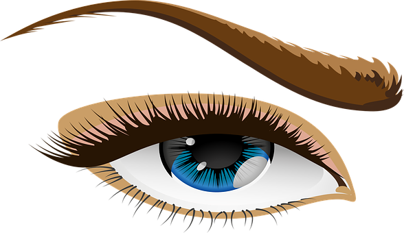 Stylized Human Eye Illustration PNG