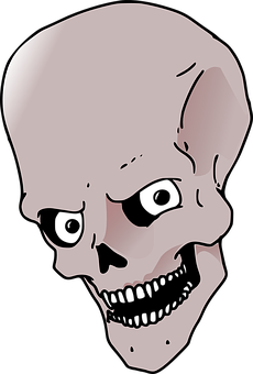 Stylized Human Skull Illustration PNG