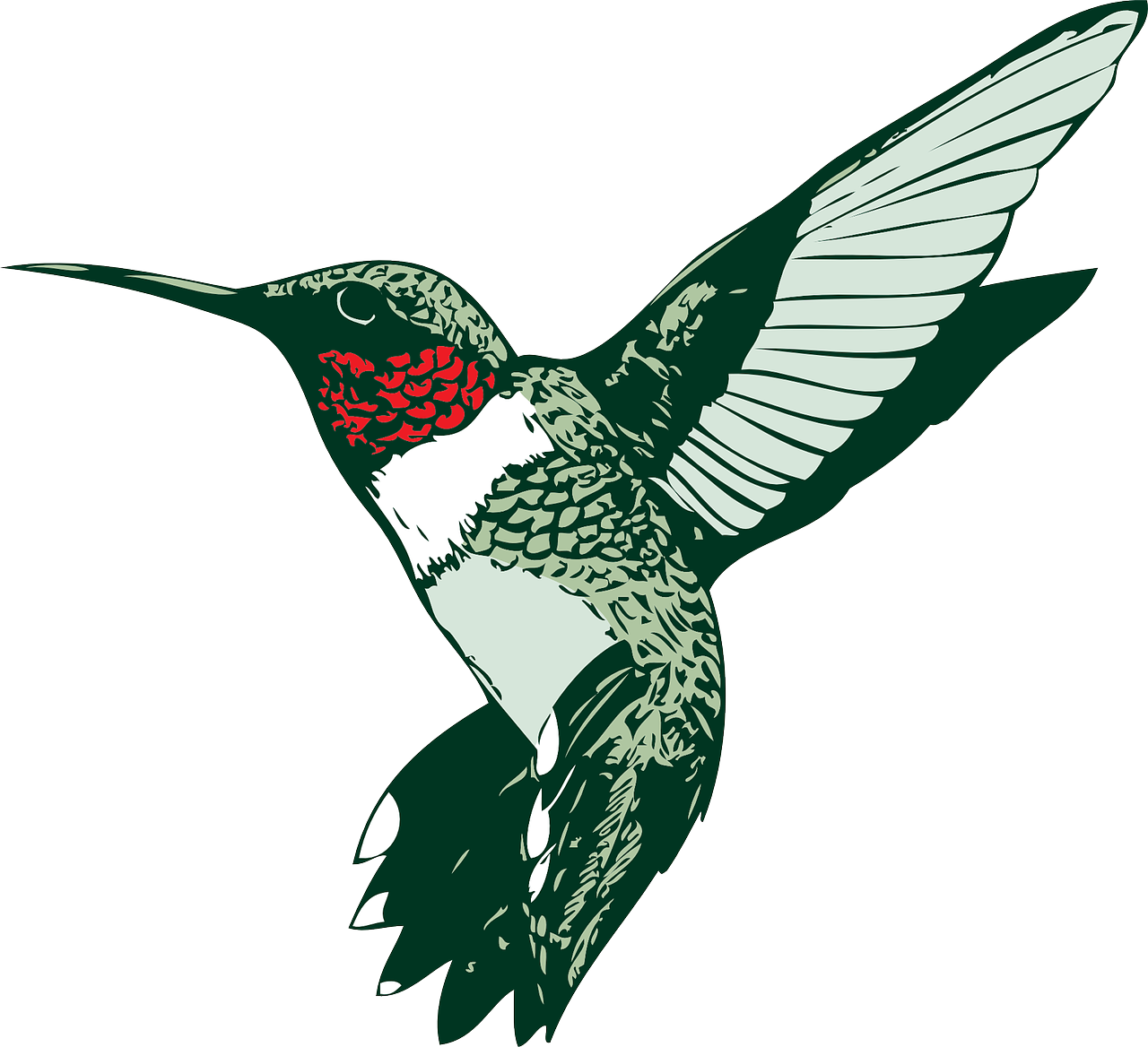 Stylized Hummingbird Illustration PNG