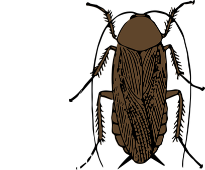 Stylized Insect Illustration PNG