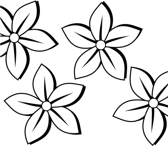 Stylized Jasmine Flower Illustration PNG