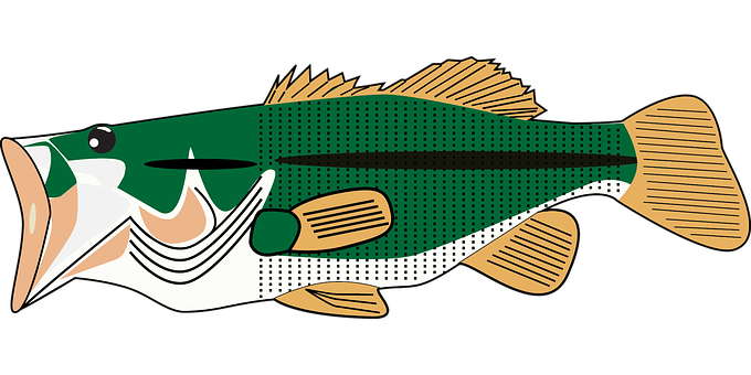 Stylized Largemouth Bass Illustration PNG