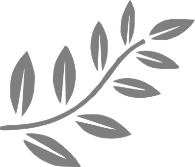 Stylized Leaf Branch Graphic PNG