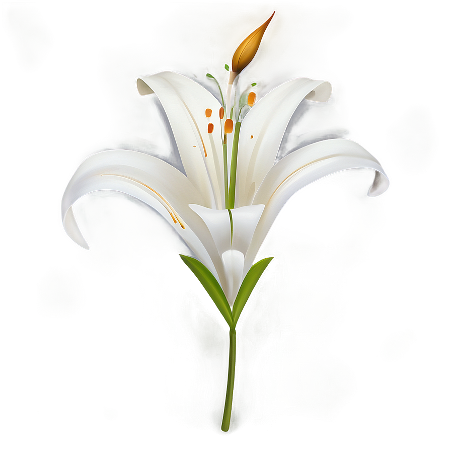 Stylized Lily Flower Png 49 PNG