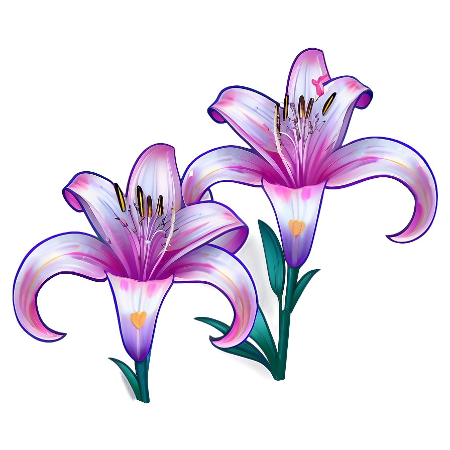 Stylized Lily Flower Vector Png 06252024 PNG
