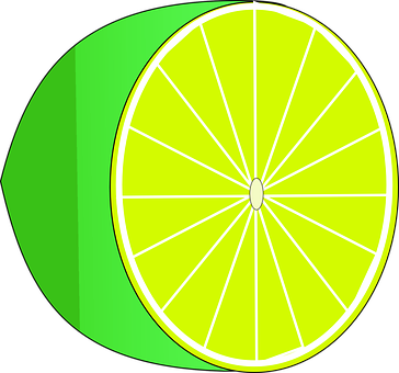 Stylized Lime Slice Graphic PNG