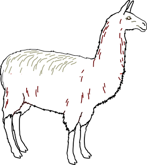 Stylized Llama Illustration PNG