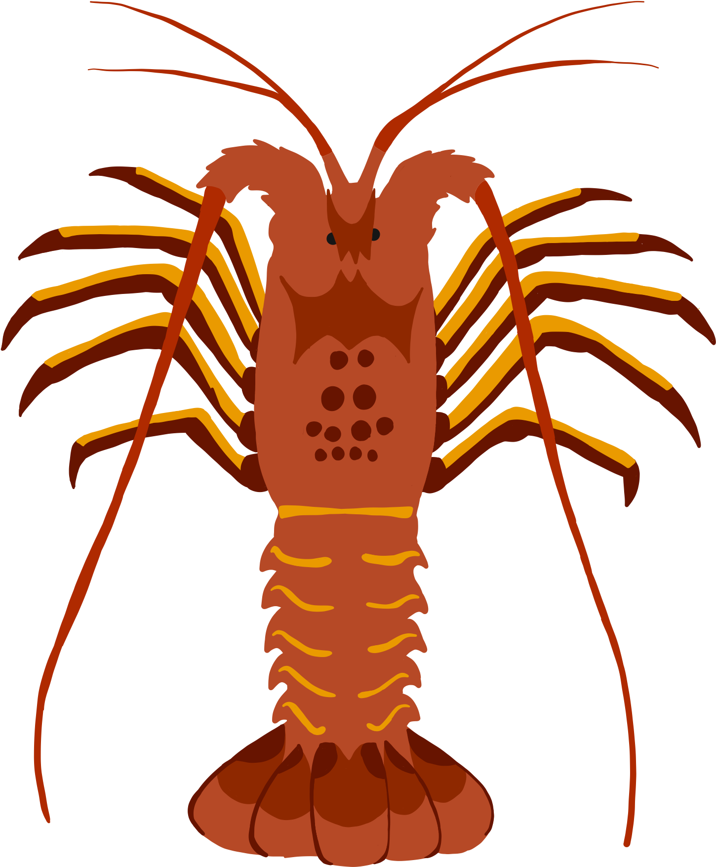 Stylized Lobster Illustration PNG