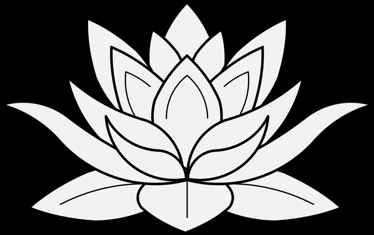Stylized Lotus Flower Graphic PNG