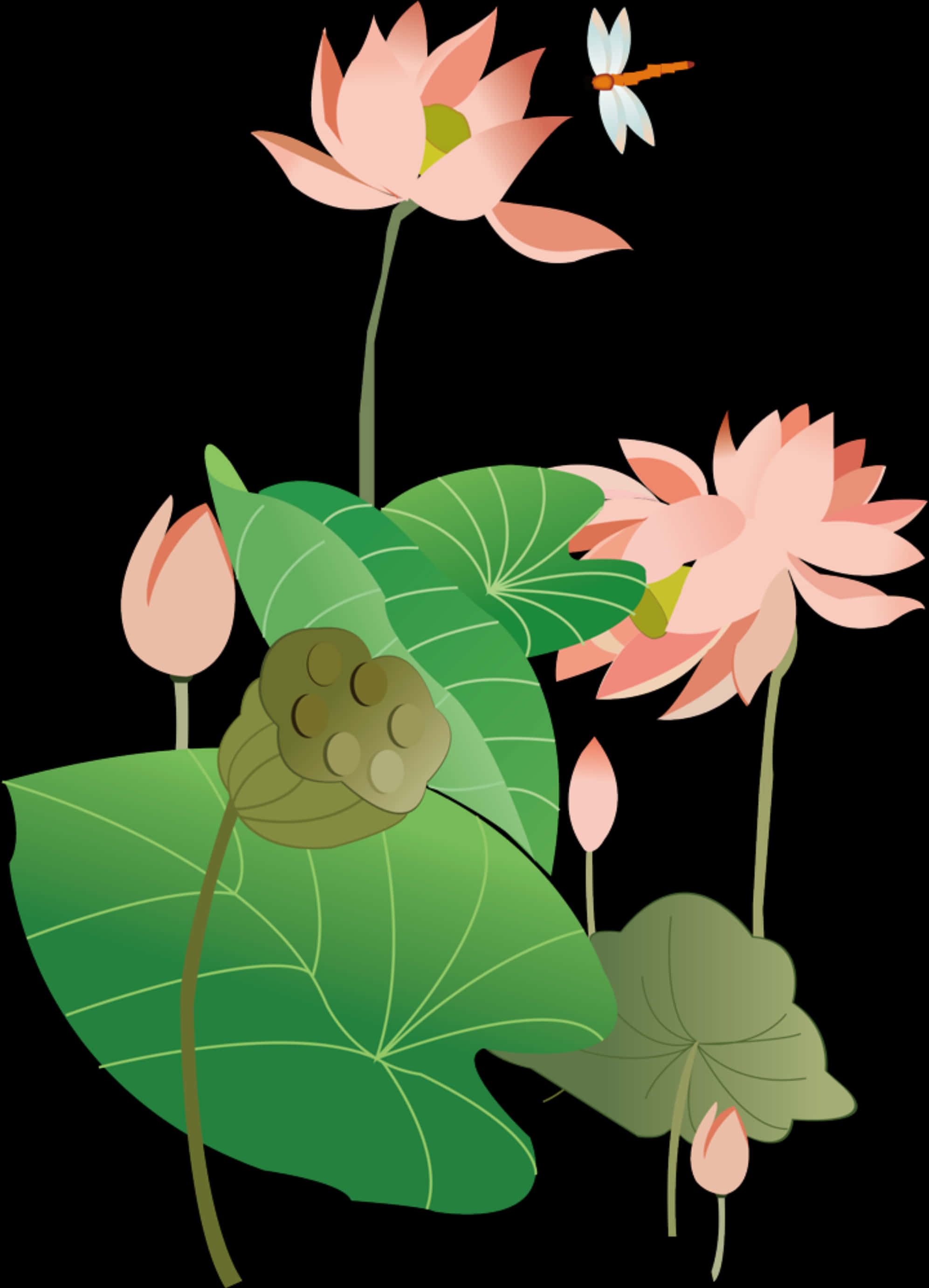 Stylized Lotus Flowersand Dragonfly PNG