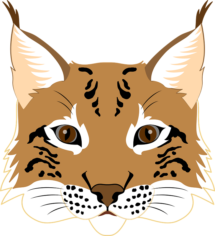 Stylized Lynx Face Illustration PNG