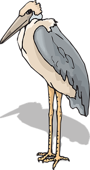 Stylized Marabou Stork Illustration PNG