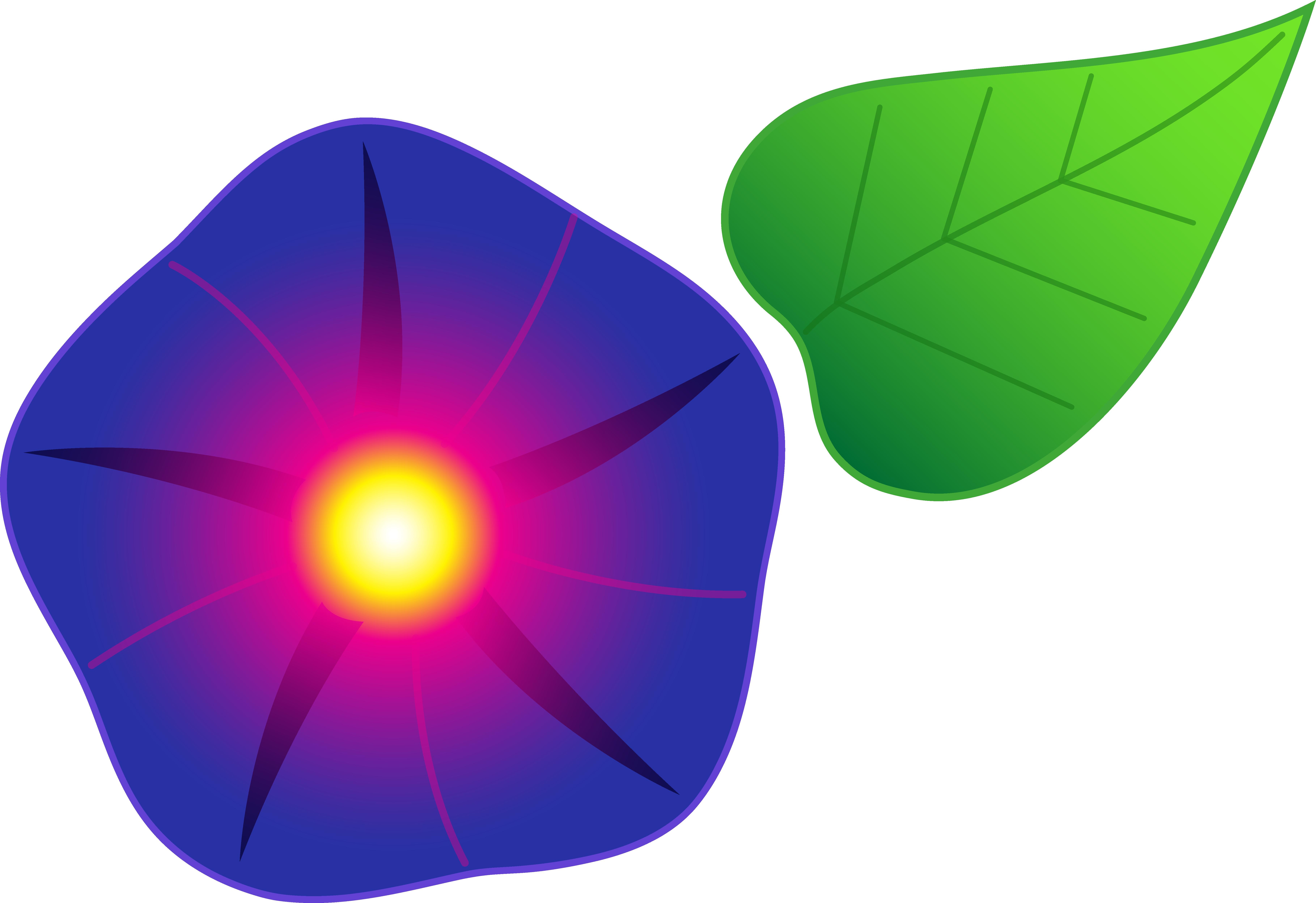 Stylized Morning Glory Graphic PNG