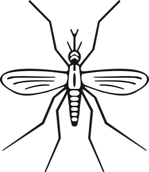 Stylized Mosquito Illustration PNG