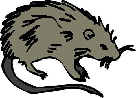Stylized Mouse Silhouette PNG