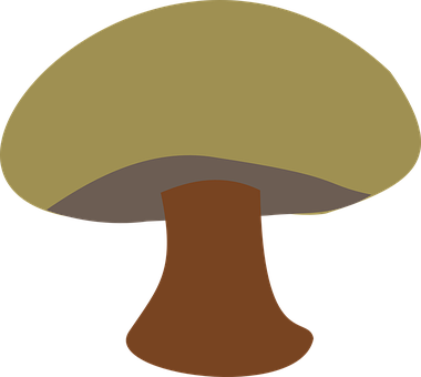 Stylized Mushroom Graphic PNG