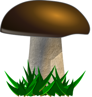 Stylized Mushroom Graphic PNG