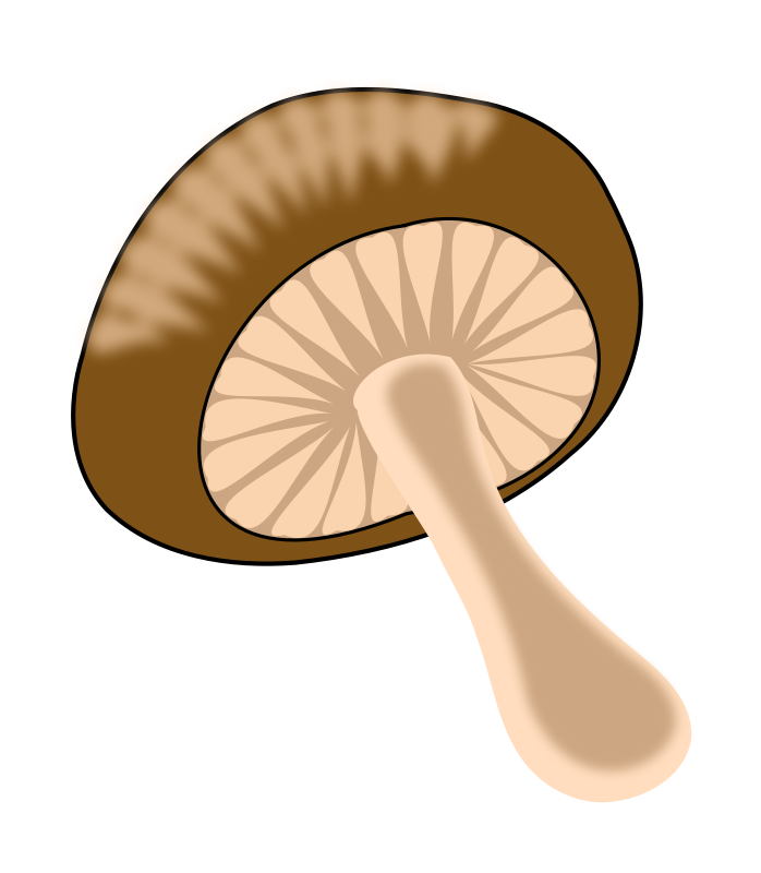 Stylized Mushroom Illustration PNG
