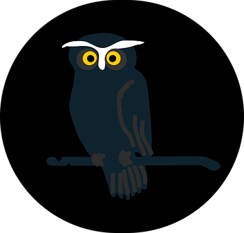 Stylized Night Owl Graphic PNG