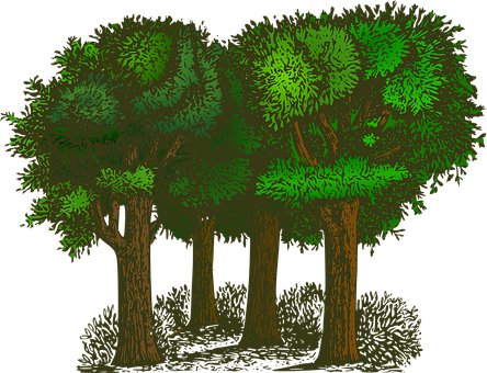 Stylized Nighttime Forest Illustration PNG