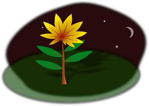 Stylized Nighttime Plant Illustration PNG