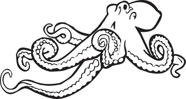 Stylized Octopus Graphic PNG