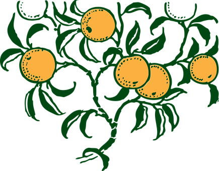 Stylized Orange Branch Illustration PNG
