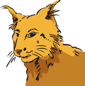 Stylized Orange Cat Illustration PNG