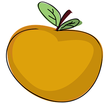 Stylized Orange Fruit Illustration PNG