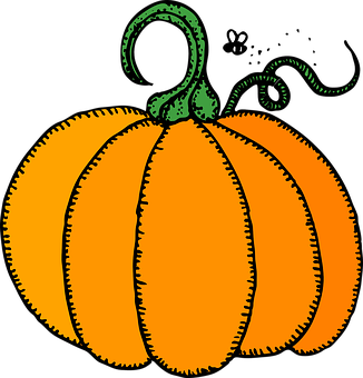 Stylized Orange Pumpkin Graphic PNG