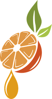Stylized Orange Slice Art PNG